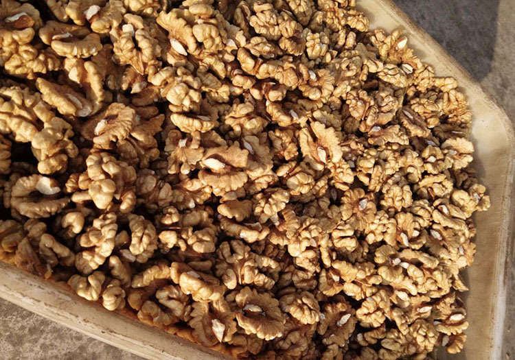 Walnut Kernel