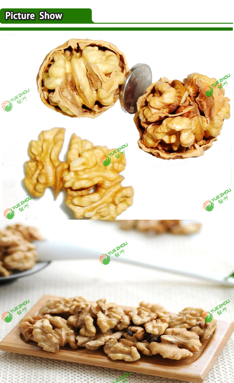 New Crop Walnut Kernels for Hot Sale with High Quality