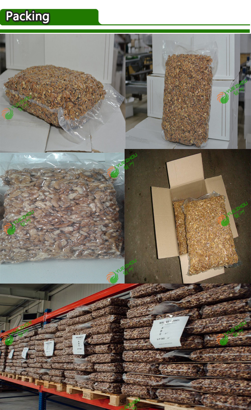 New Crop Walnut Kernels for Hot Sale with High Quality