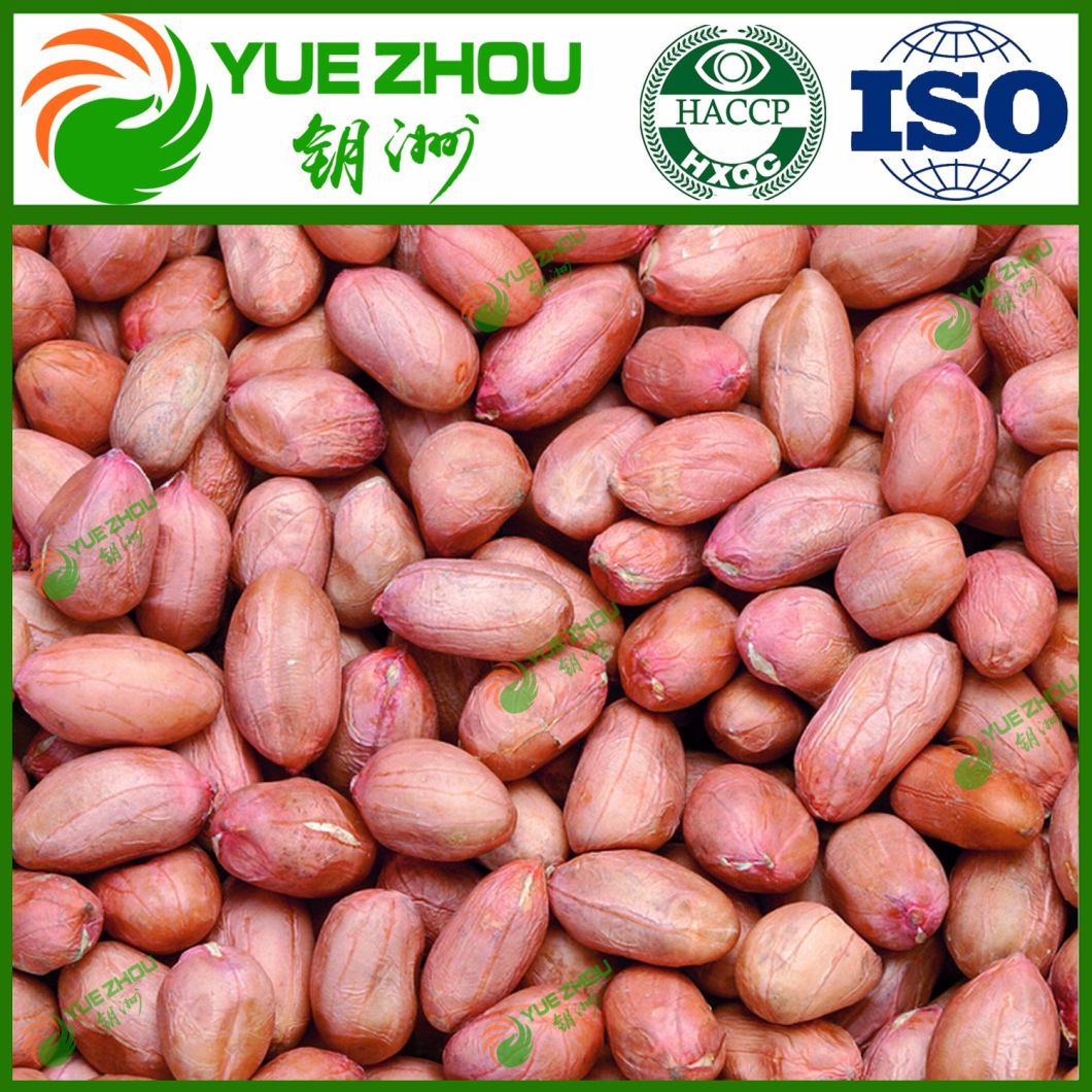2019 Raw Red Skin Peanut Kernels with Reasonable Price