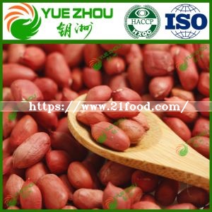 2019 Raw Red Skin Peanut Kernels with Reasonable Price