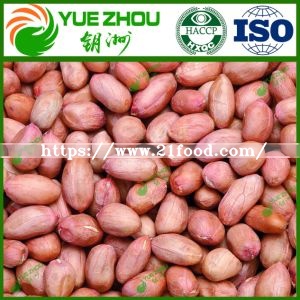2019 Raw Red Skin Peanut Kernels with Reasonable Price