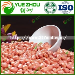 2019 Raw Red Skin Peanut Kernels with Reasonable Price