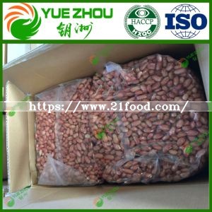 Luhua 11 Peanut Kernels with Cheap Price for Top Sale