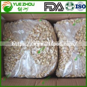 Roasted Peanut with Top Quality and Salt Taste