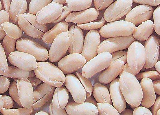 Roasted Blanched Peanuts, Fried Salted Peanuts Kernels, Chinese Peanuts, Snack