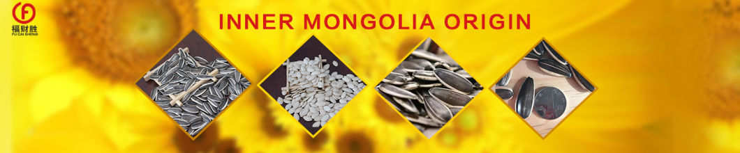 Pumpkin Seed From Inner Mongolia Wholesale