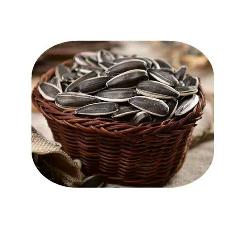 Sunflower Seed of 363 Type From Inner Mongolia