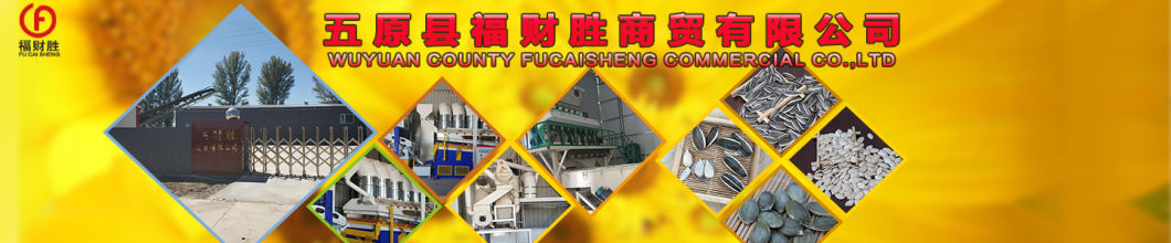 Flower Seeds From Inner Mongolia Wholesale