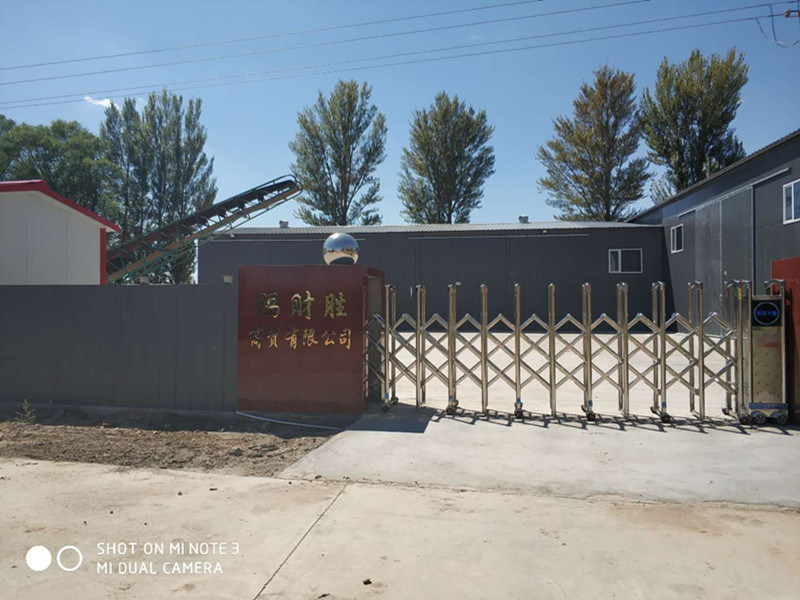 Flower Seeds From Inner Mongolia Wholesale