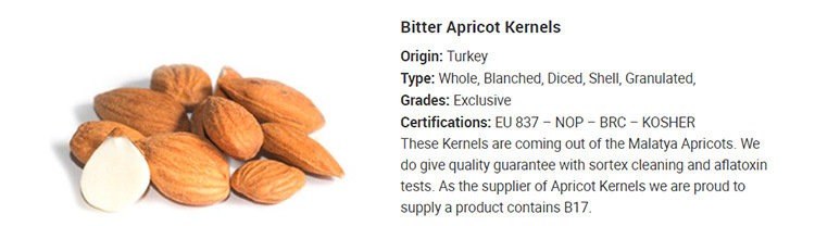 Low Price Xinjiang Inshell Nuts Salted Almonds