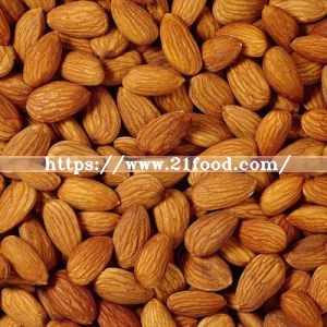 Raw Best Quality Almond Nuts / Raw Natural Almond Nuts