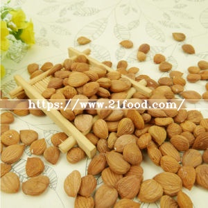 Raw and Processed Almonds Nuts and Carmel Almond, Raw Almond