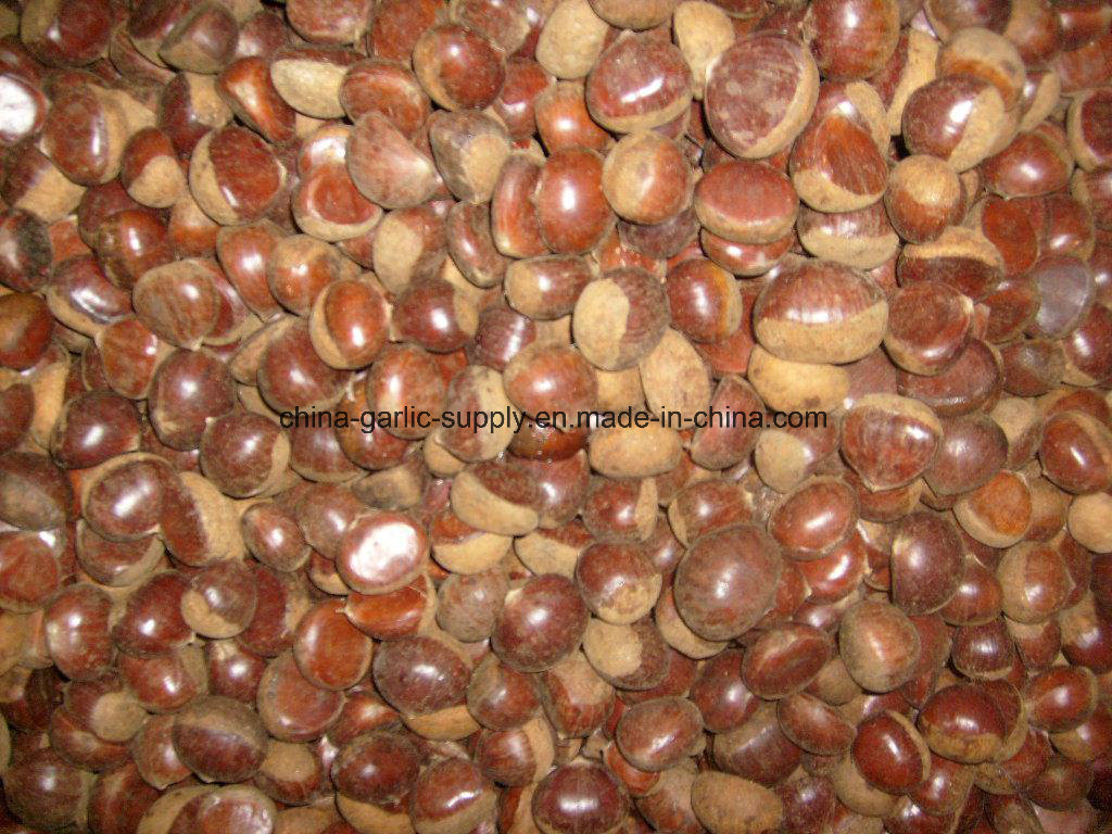 Fresh New Taishan Crop Tasty Chestnut