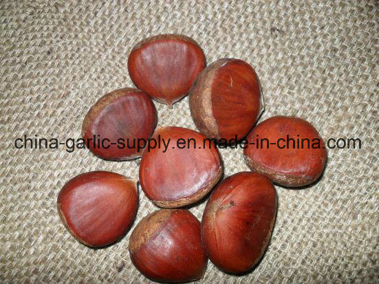 Fresh New Taishan Crop Tasty Chestnut