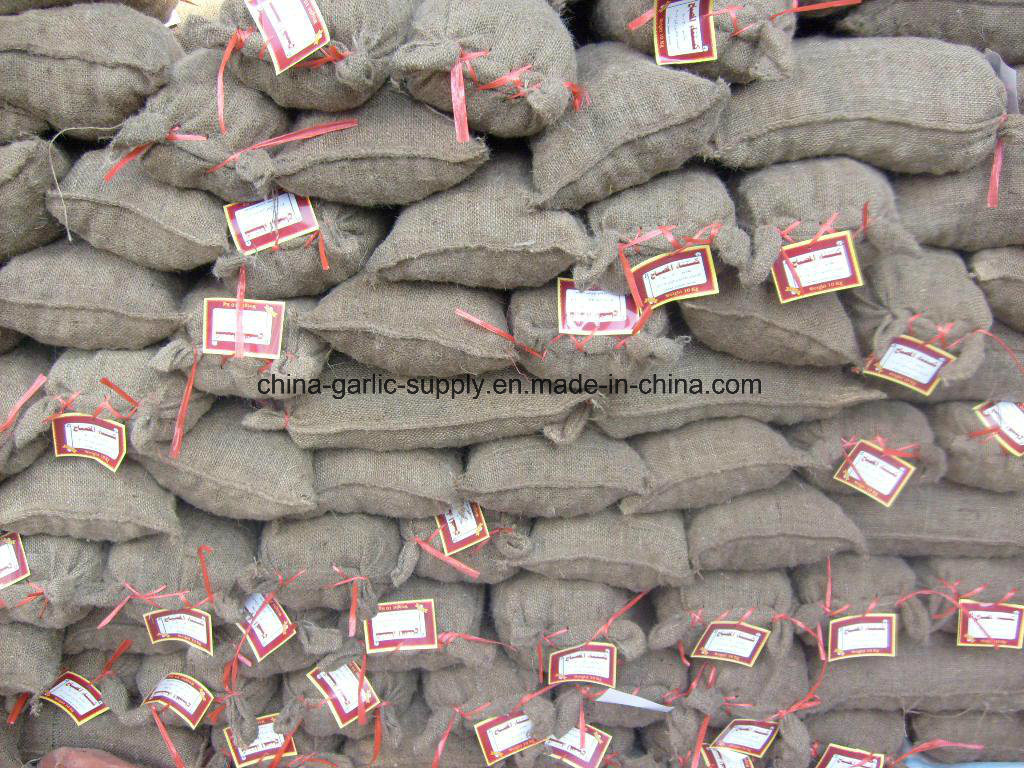 Fresh New Taishan Crop Tasty Chestnut