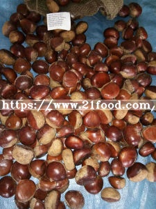 Fresh New Taishan Crop Tasty Chestnut