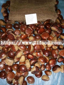 Fresh New Taishan Crop Tasty Chestnut