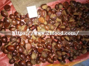 Fresh New Taishan Crop Tasty Chestnut