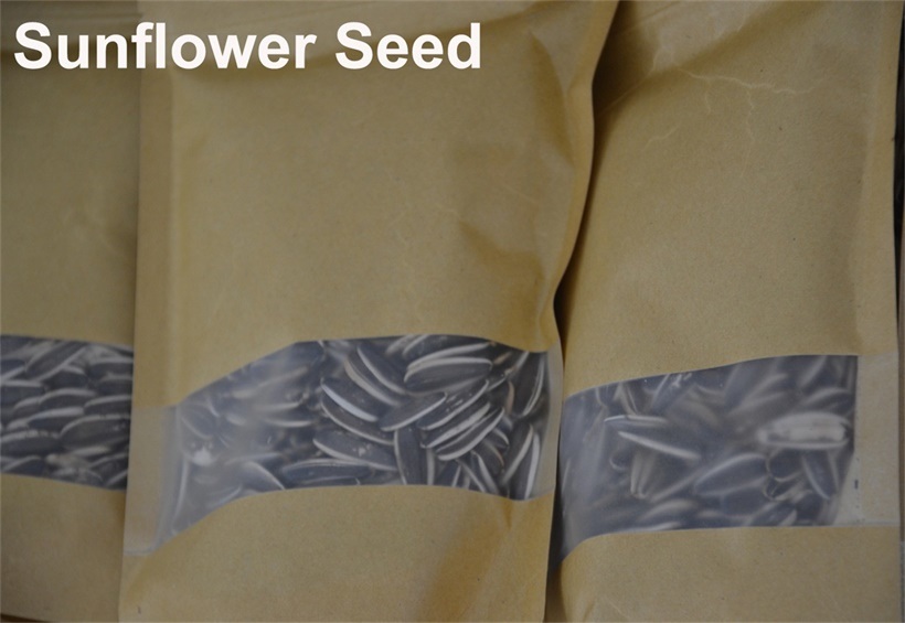 Export High-Quality Chinese Big High Quality Salt Sunflower Seed