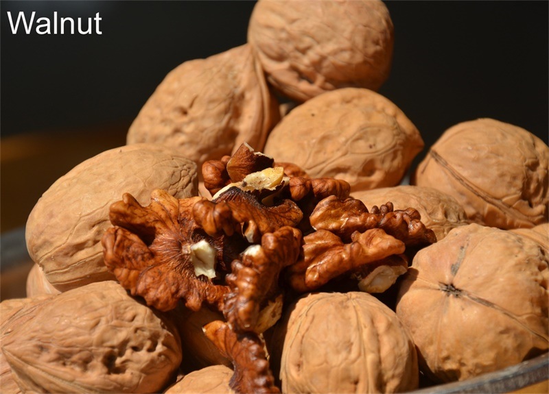 Walnuts Longevity Fruit and Health Treasure Rich in Copper Magnesium