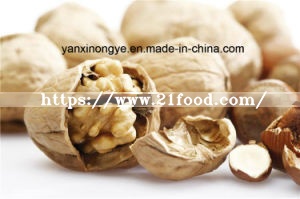 High Quality Walnut Thin-Skinned Walnuts Natural Healthy Walnut