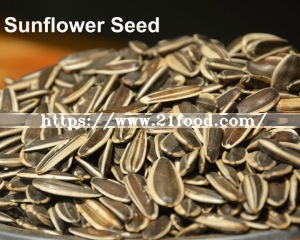 Export High-Quality Chinese Big High Quality Salt Sunflower Seed