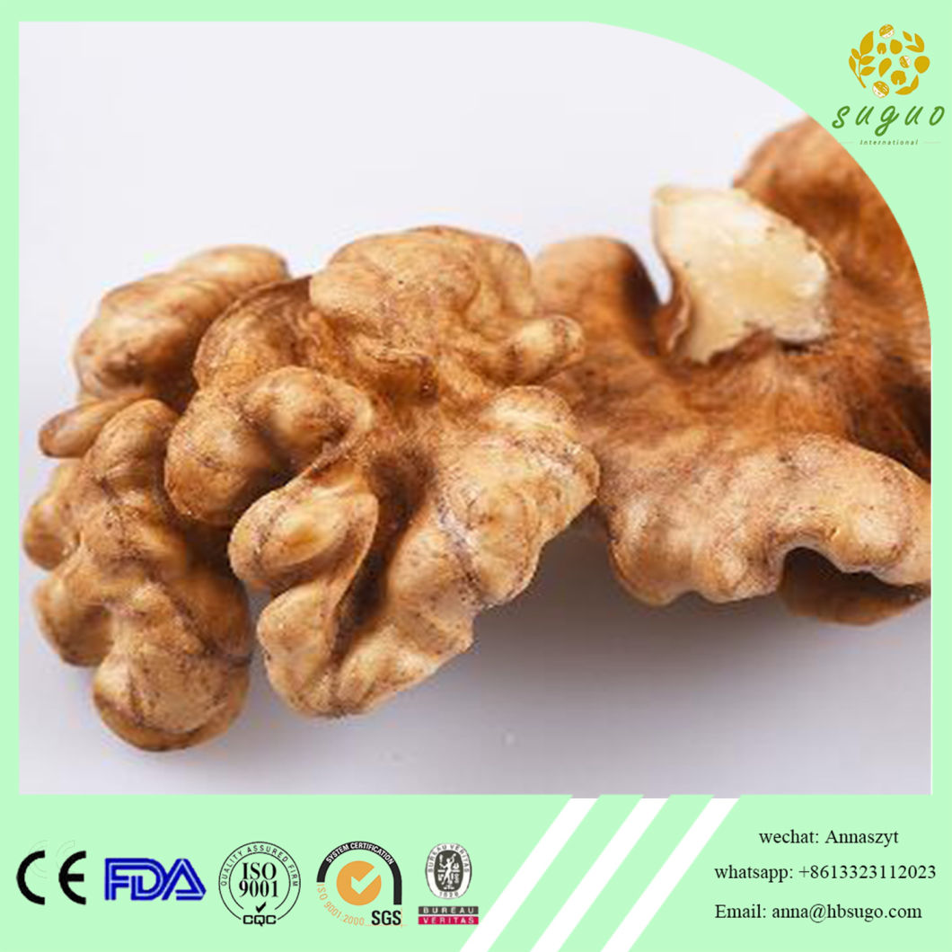 AAA Walnut Kernel in Halves