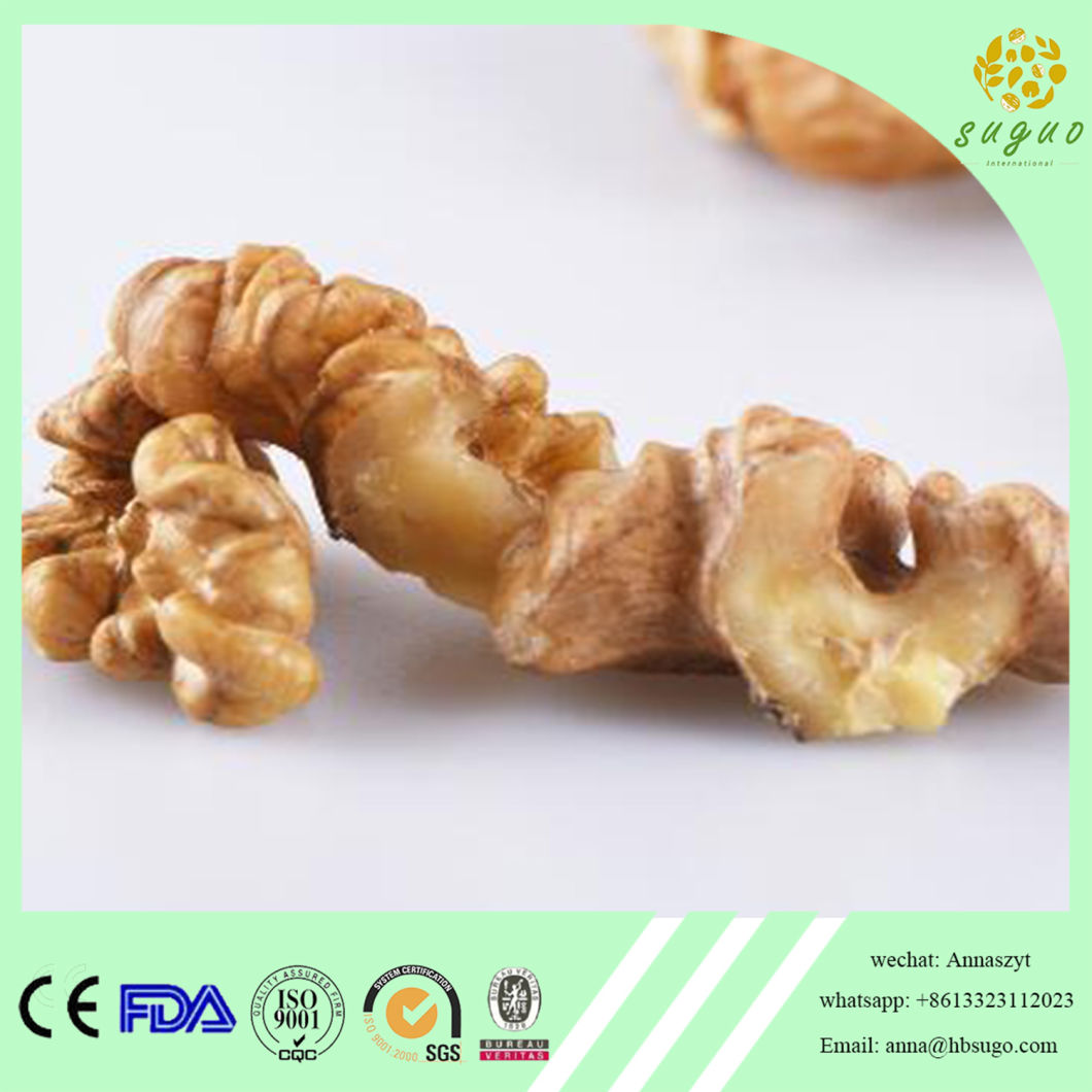 Manufacture Supply Organic Walnut Kernel