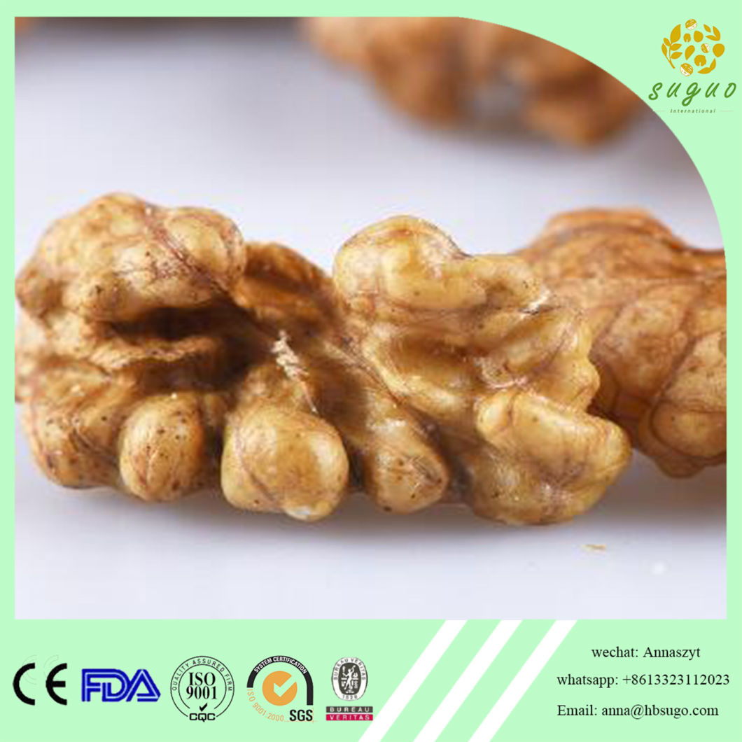 Manufacture Supply Organic Walnut Kernel
