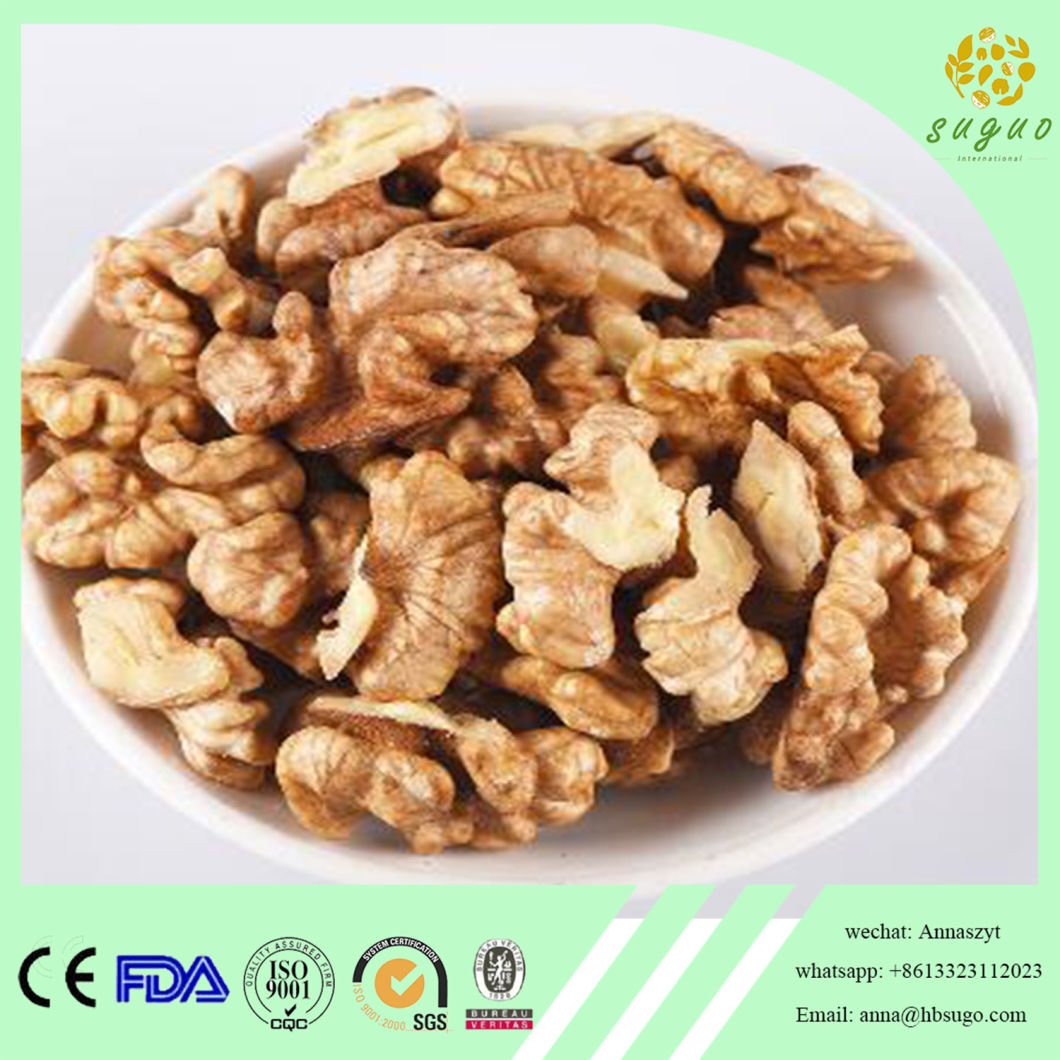Manufacture Supply Organic Walnut Kernel
