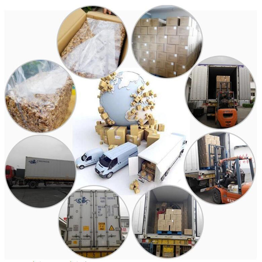 Manufacture Supply Organic Walnut Kernel
