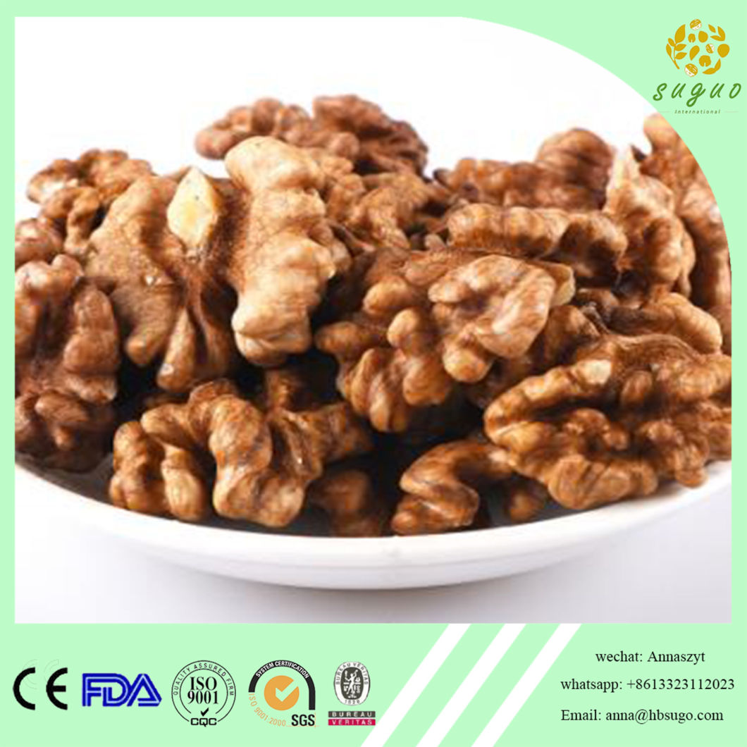 Light Amber Walnut Kernel with Kosher Certificate
