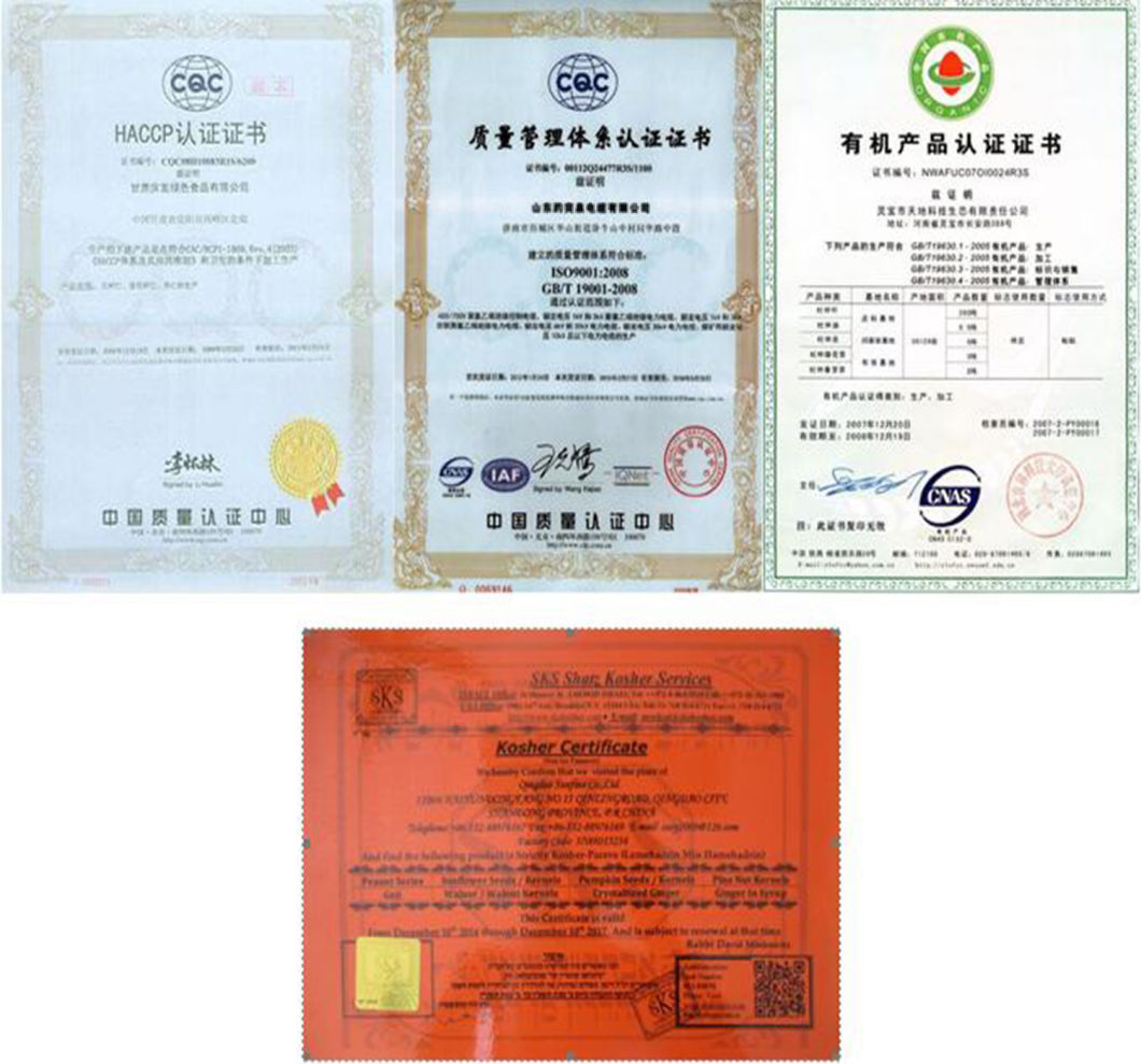 China Walnut, Chinese Walnut, Raw Walnut, Walnut Inshell