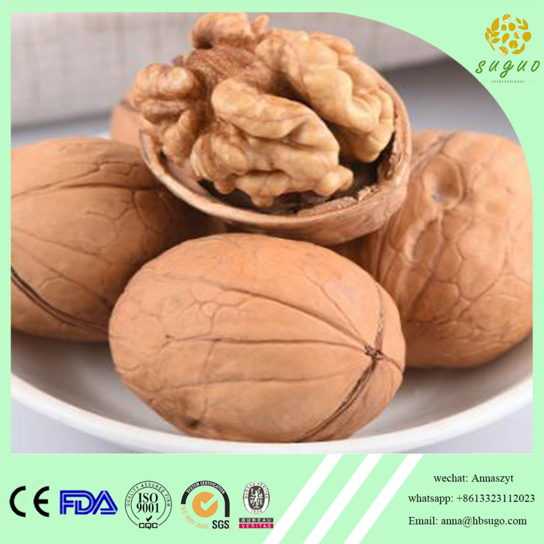 Walnut Inshell Easy Cracked 28mm up