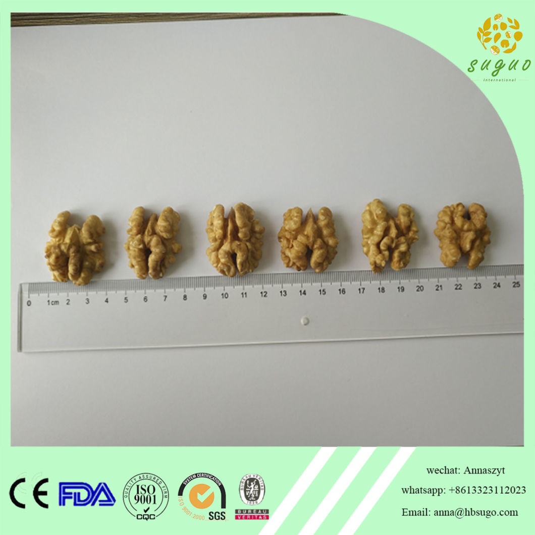 Wen185 Walnut Kernel High Class Walnut Kernel