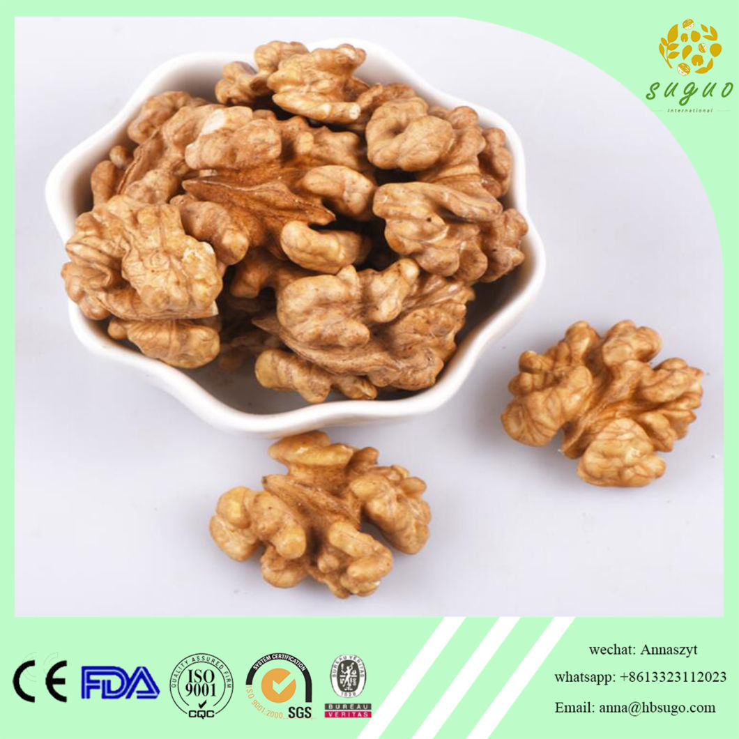 Peeled Shelled Walnut in Bigger Size Light Color Walnut Ltd Factory