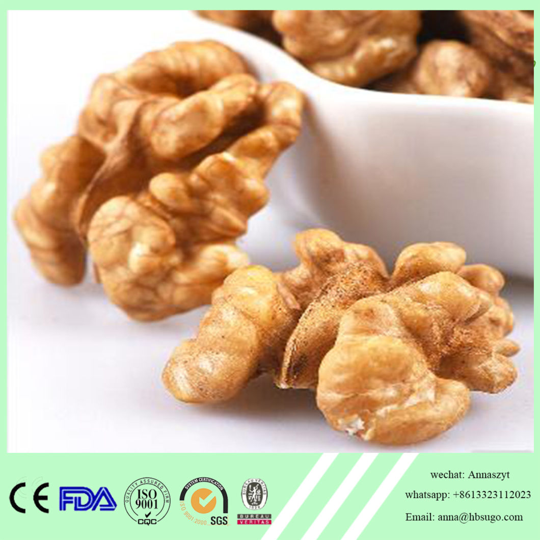 Peeled Shelled Walnut in Bigger Size Light Color Walnut Ltd Factory