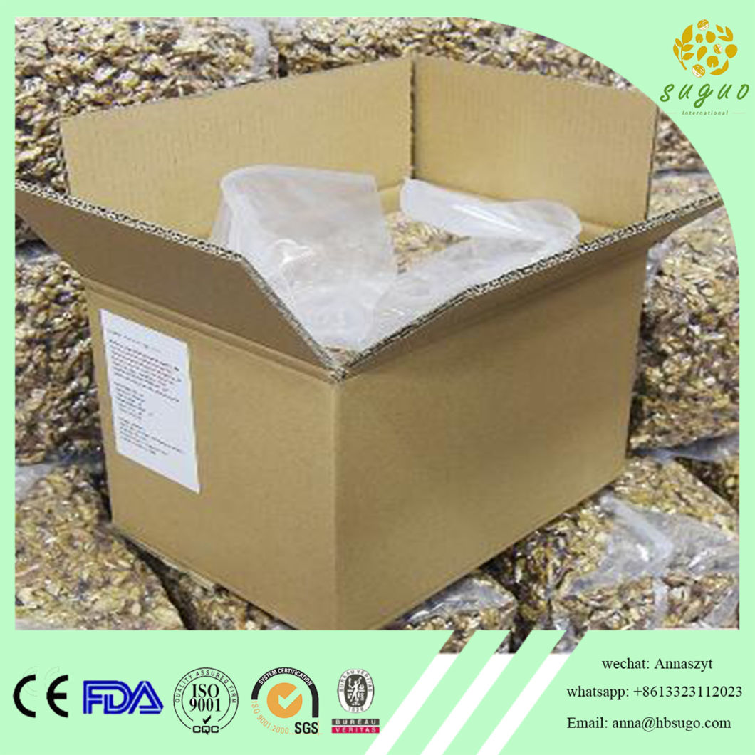 Peeled Shelled Walnut in Bigger Size Light Color Walnut Ltd Factory