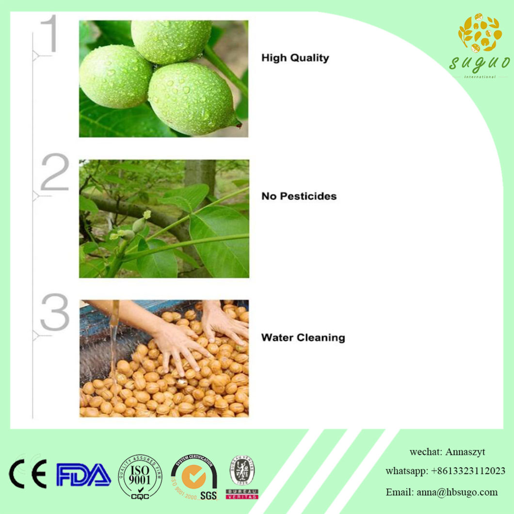 Walnut Without Shell Light Walnut Kernel Walnut Meat Use Food