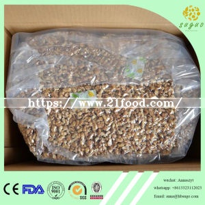 New Crop Walnut Kernel Light Pieces