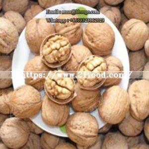 Organic Walnut Thin Shell Walnut Paper Skin Walnut