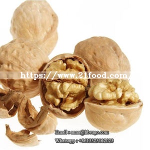Organic Walnut Thin Shell Walnut Paper Skin Walnut