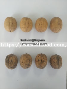 China Walnut, Chinese Walnut, Raw Walnut, Walnut Inshell