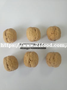 China Walnut, Chinese Walnut, Raw Walnut, Walnut Inshell