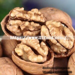 High Quality AAA Walnut Easy Cracked Walnut Sweet Walnut