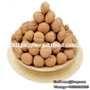 High Quality AAA Walnut Easy Cracked Walnut Sweet Walnut