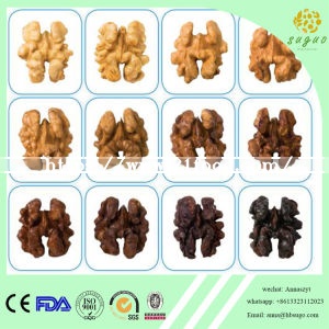 High Quality Walnut Kernel in Quarter
