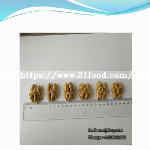 Wen185 Walnut Kernel High Class Walnut Kernel