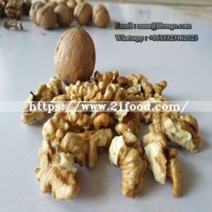 Sinkiang Walnut Kernel High Quality Walnut Kernel